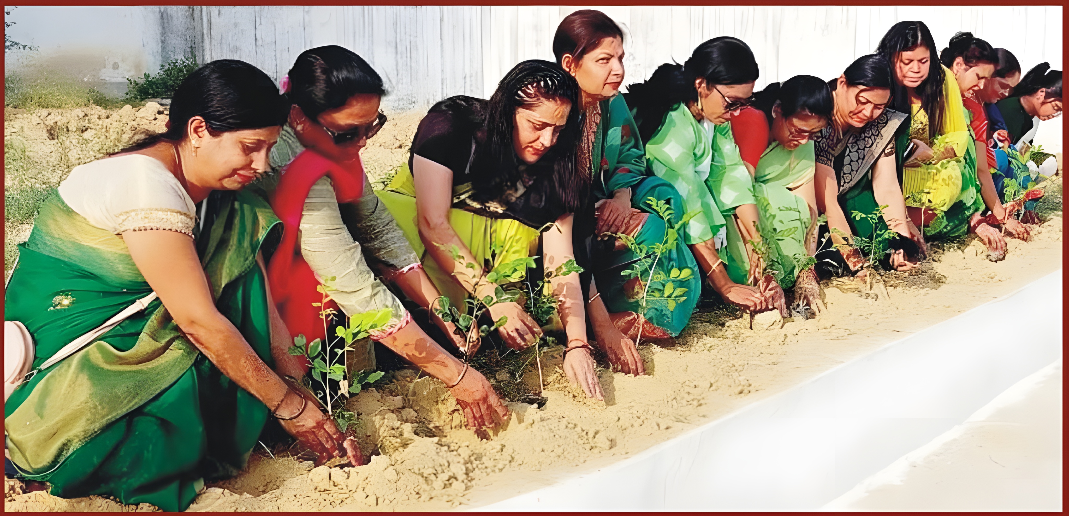 Planting